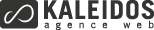 Kaleidos Agence Web